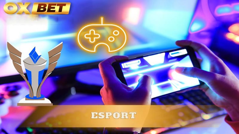 Cá cược Esport Oxbet thú vị, lôi cuốn